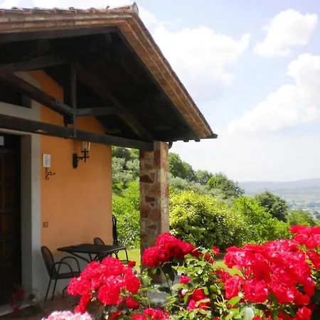 Agri-tourism Poggio Degli Olivi Passaggio Di - Peg021003-cya Apartment